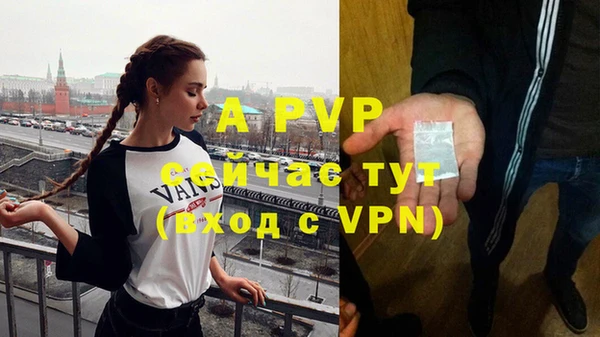 винт Аркадак