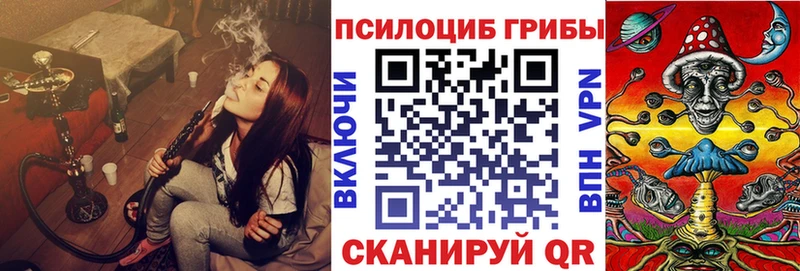 что такое наркотик Можга Галлюциногенные грибы ЛСД