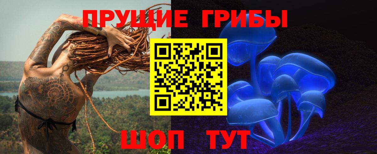 Галлюциногенные грибы MAGIC MUSHROOMS  Вход с VPN  Можга 