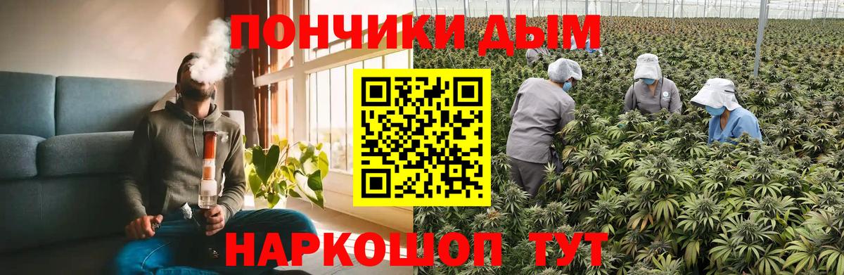 Канабис Ganja Можга